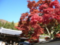 [風景・景観][史跡・名勝][紅葉][神社・仏閣]清水寺 （長野県長野市）