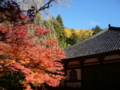 [風景・景観][史跡・名勝][紅葉][神社・仏閣]清水寺 （長野県長野市）