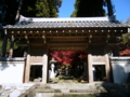 [風景・景観][史跡・名勝][紅葉][神社・仏閣]清水寺 （長野県長野市）