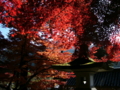 [風景・景観][史跡・名勝][紅葉][神社・仏閣]清水寺 （長野県長野市）