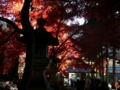 [風景・景観][史跡・名勝][紅葉][神社・仏閣]清水寺 （長野県長野市）