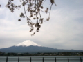 [風景・景観][花][桜]