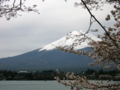 [風景・景観][花][桜]