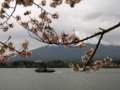 [風景・景観][花][桜]