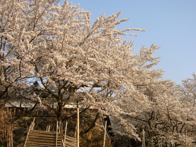 谷厳寺（長野県中野市）