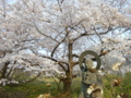 [風景・景観][桜]谷厳寺（長野県中野市）