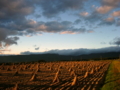 [風景・景観][空][夕焼け]