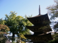 [風景・景観][史跡・名勝][神社・仏閣]独鈷山前山寺（長野県上田市）