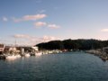 [風景・景観][河川][空]稲生沢川加工（静岡県下田市）