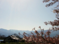 [風景・景観][空][桜]