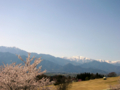 [風景・景観][空][桜]