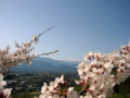 [風景・景観][空][桜]