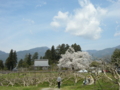 [花][桜][風景・景観]松源寺（長野県下伊那郡高森町）