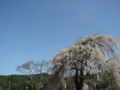 [風景・景観][桜][空]光輪寺（長野県朝日村）