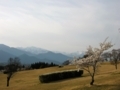 [風景・景観][桜][空]