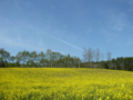 [風景・景観][空][菜の花]中山高原（長野県大町市）