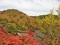 霊松寺（長野県大町市）