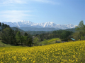 [風景・景観][花][菜の花][空][山]中山高原（長野県大町市）