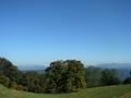 [風景・景観][空][紅葉]七色大カエデ（長野県北安曇郡池田町）