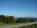 [風景・景観][空]七色大カエデ（長野県北安曇郡池田町）