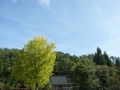 [風景・景観][神社・仏閣]長福寺（長野県北安曇郡池田町）