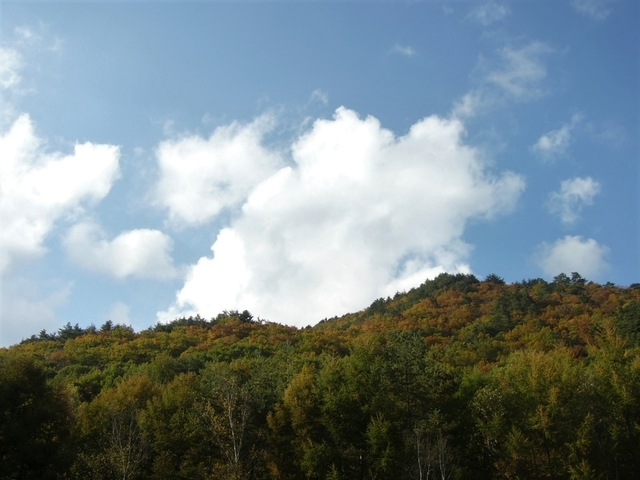 高瀬渓谷（長野県大町市）