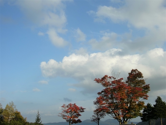 高瀬渓谷・大町ダム（長野県大町市）