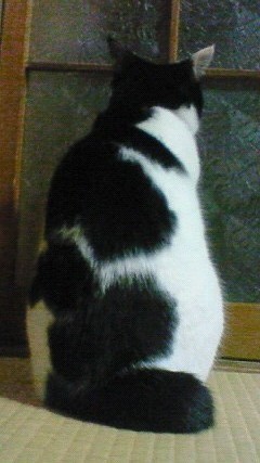 f:id:Zikroto:20111211181900j:image f:id:Zikroto:20111211181900j:image