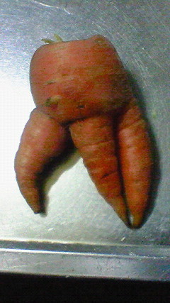 f:id:Zikroto:20120111204800j:image f:id:Zikroto:20120111204800j:image