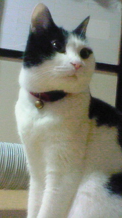 f:id:Zikroto:20120131172400j:image f:id:Zikroto:20120131172400j:image