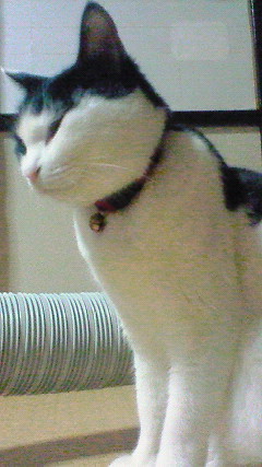 f:id:Zikroto:20120131172500j:image f:id:Zikroto:20120131172500j:image