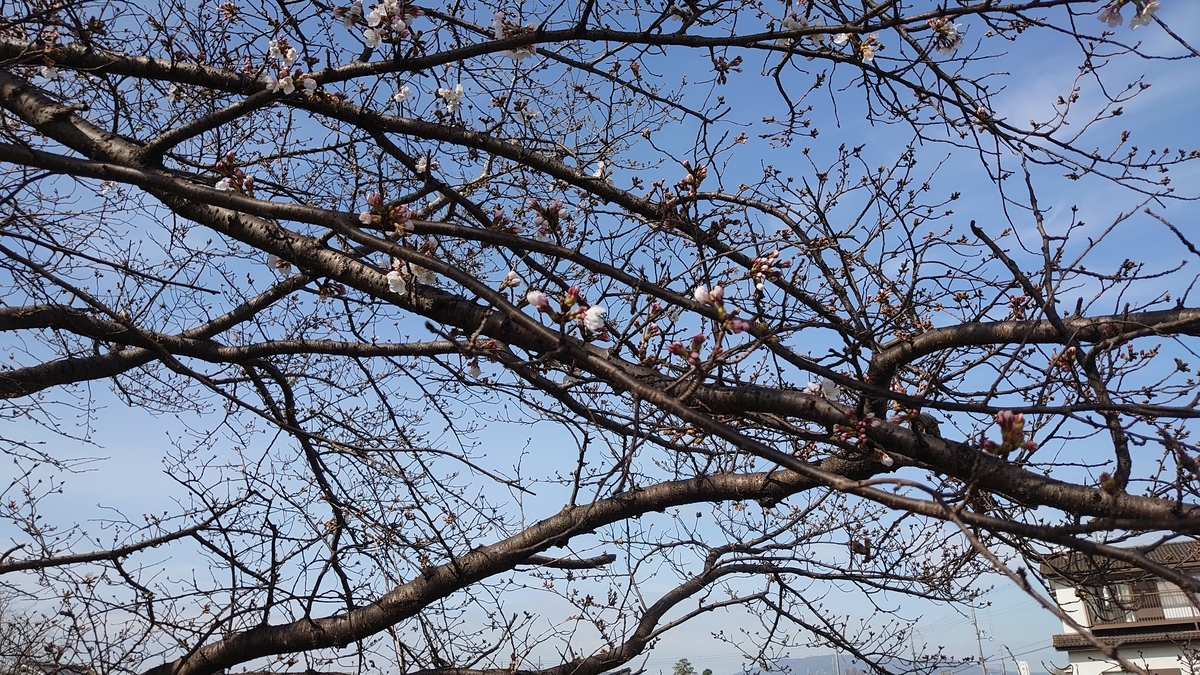 f:id:ZintVal:20210320145039j:plain