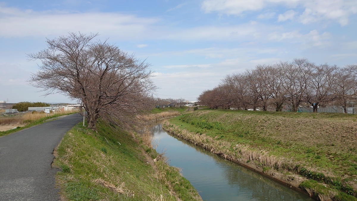 f:id:ZintVal:20210320145800j:plain