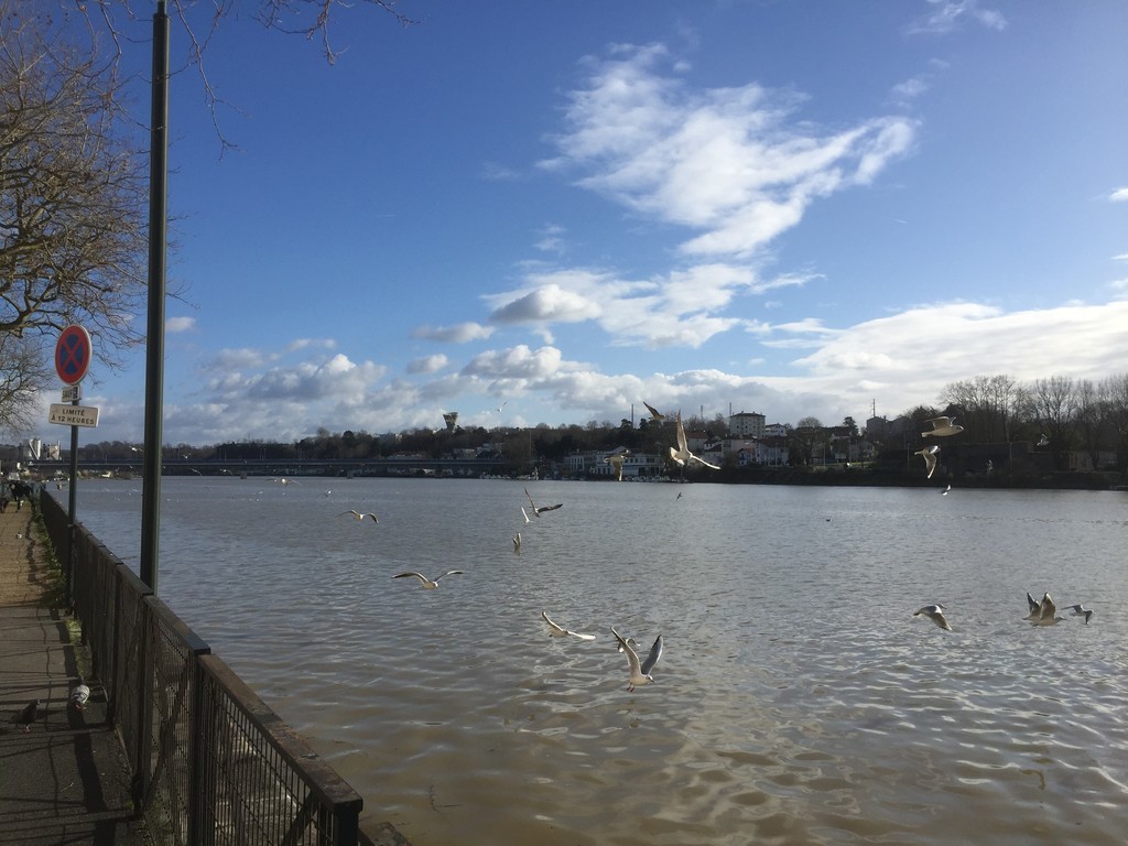 f:id:Zirimiri03:20190204050821j:plain f:id:Zirimiri03:20190204050821j:plain