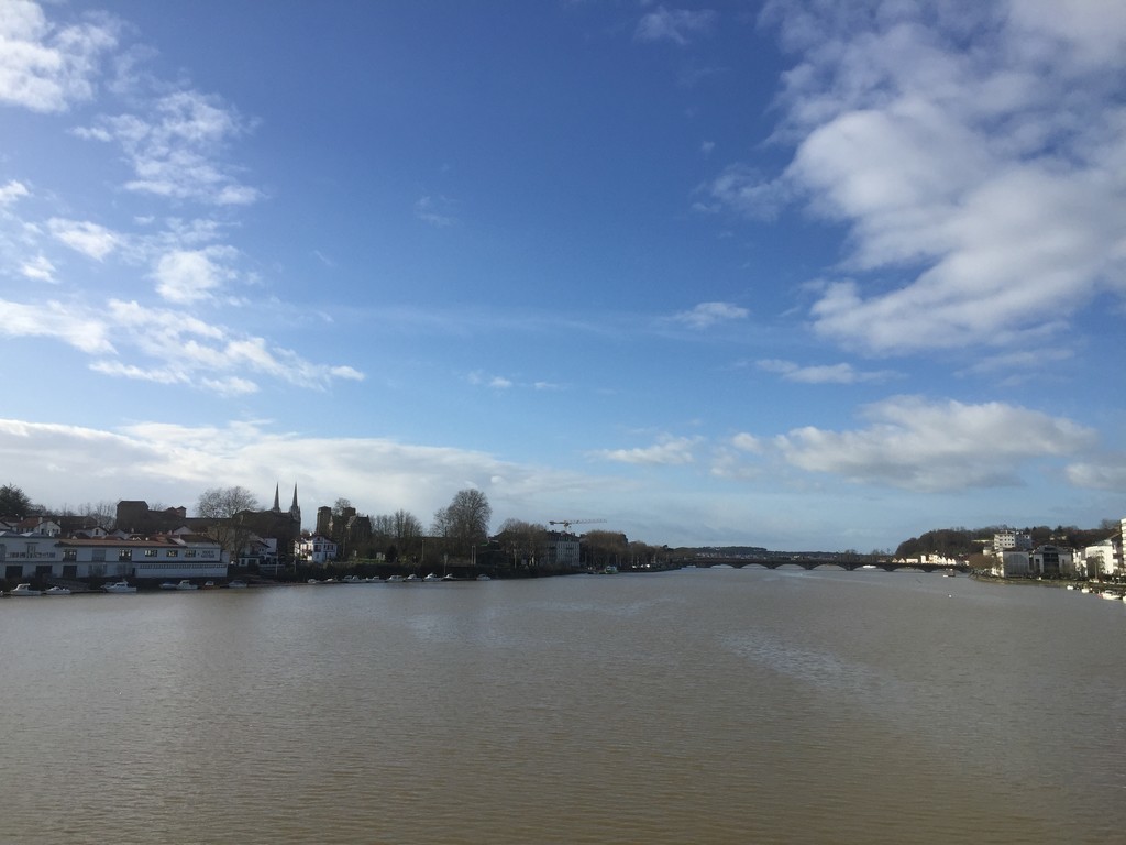 f:id:Zirimiri03:20190204051157j:plain f:id:Zirimiri03:20190204051157j:plain