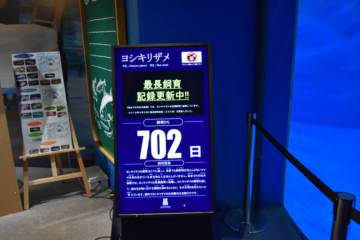 f:id:a-bound:20200704131507j:plain f:id:a-bound:20200704131507j:plain