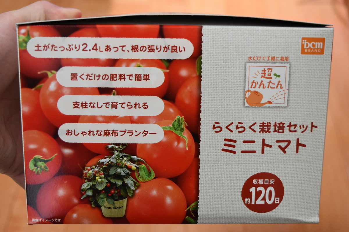f:id:a-bound:20200810223222j:plain