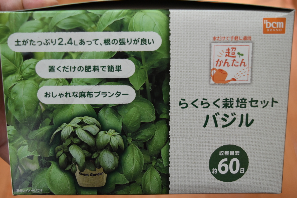 f:id:a-bound:20200810223242j:plain