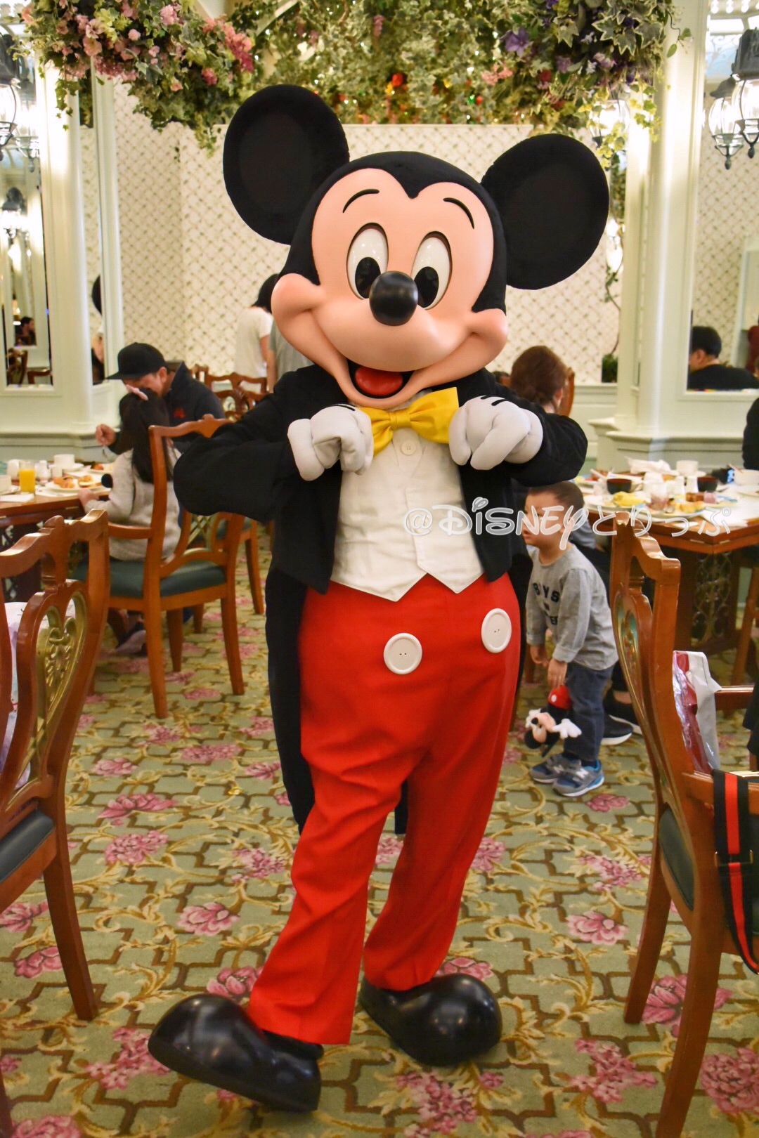 f:id:a-cr-x11xx:20180201130819j:image