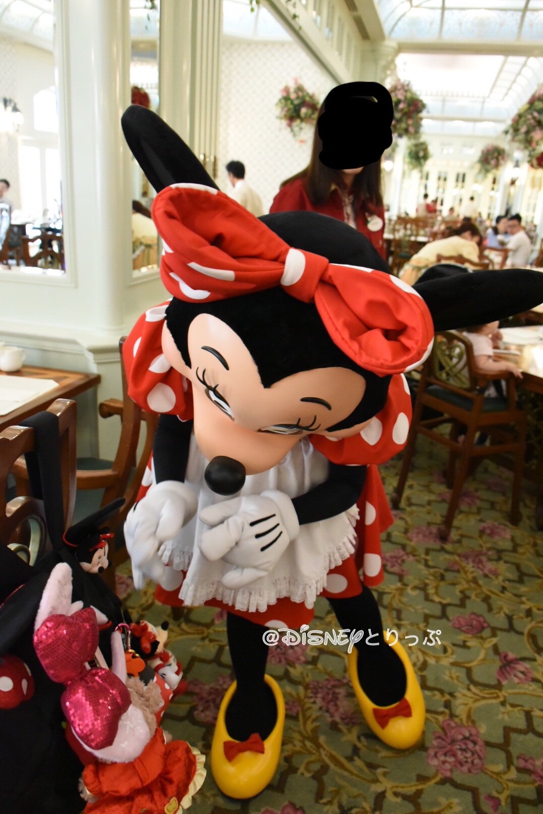 f:id:a-cr-x11xx:20180201130903j:image