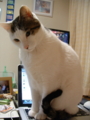 20100212230427