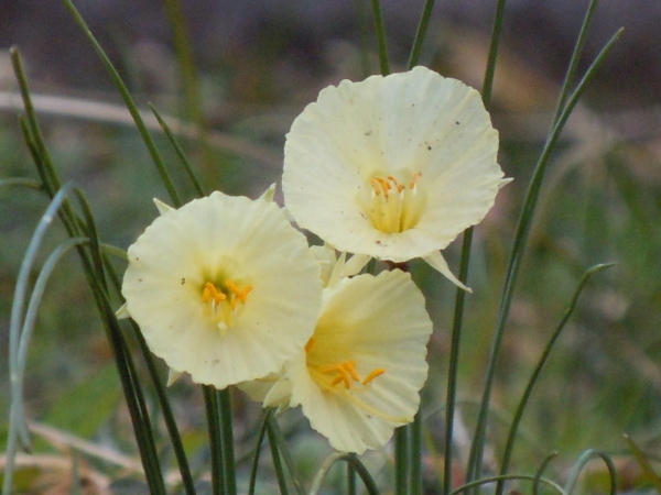 20120218203529