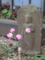 20120429174534