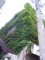 20120523221415