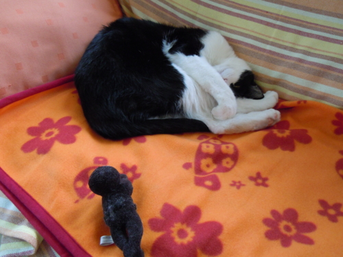 f:id:a-cup-of-snow:20121028194442j:image