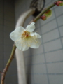 20130222145653