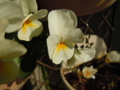 20130222145657