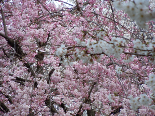 20130324173830