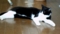 20130418150426