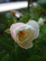 20130512193156